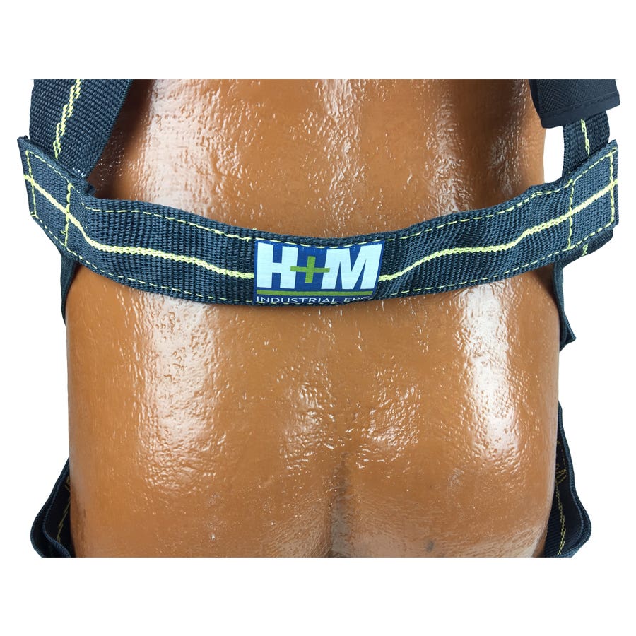 harness h&m